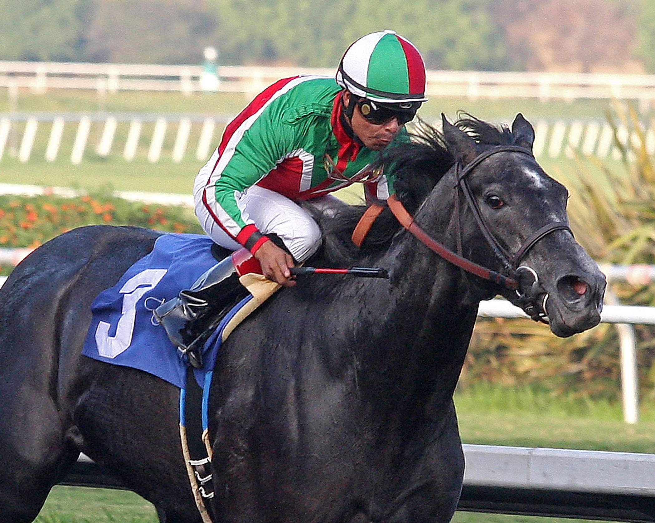 Lady of Fifty, Dec. 8, 2012