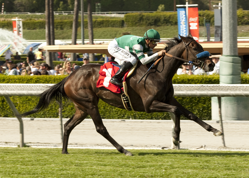 Lady of Shamrock/Providencia