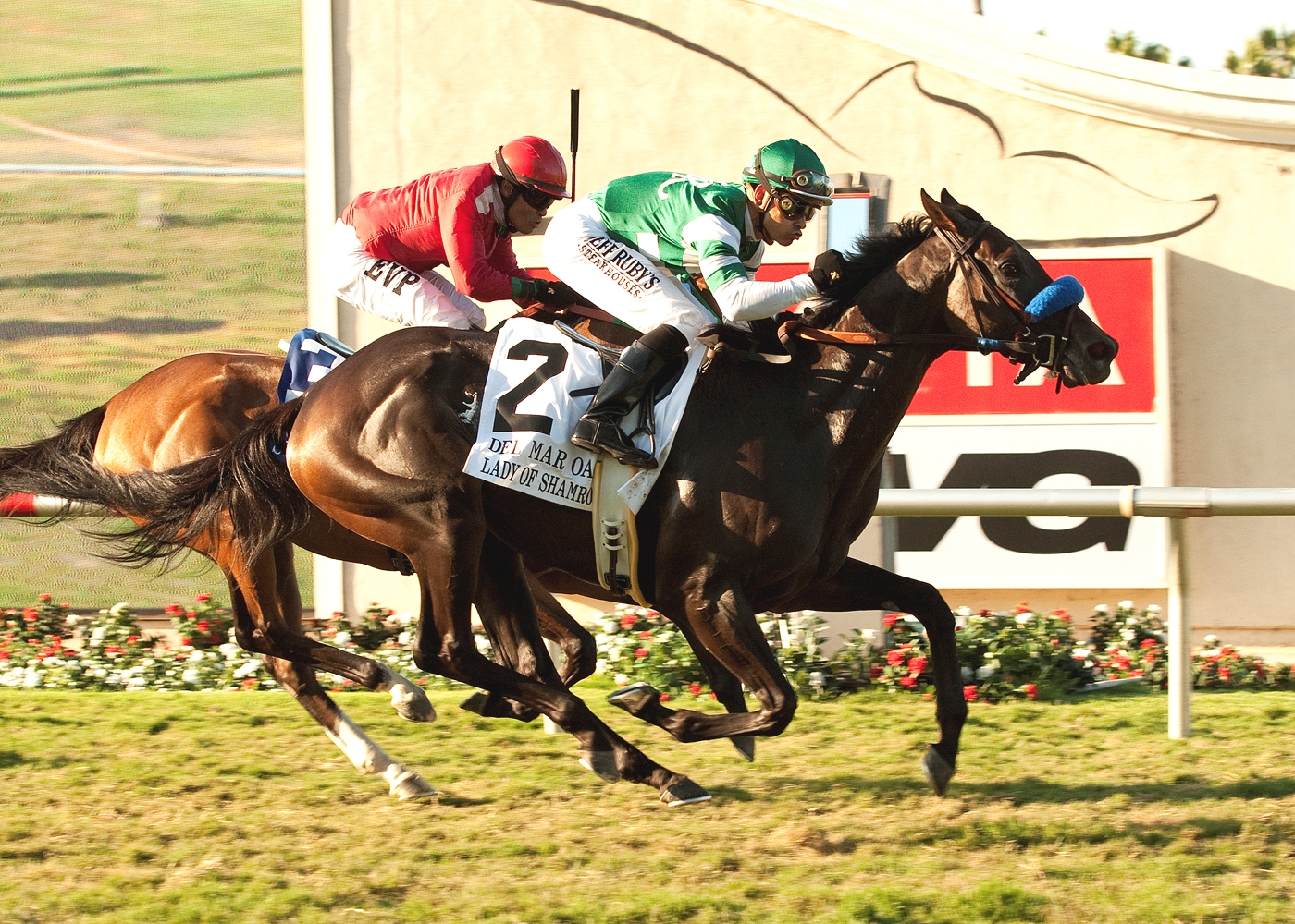 Lady of Shamrock, Del Mar Oaks