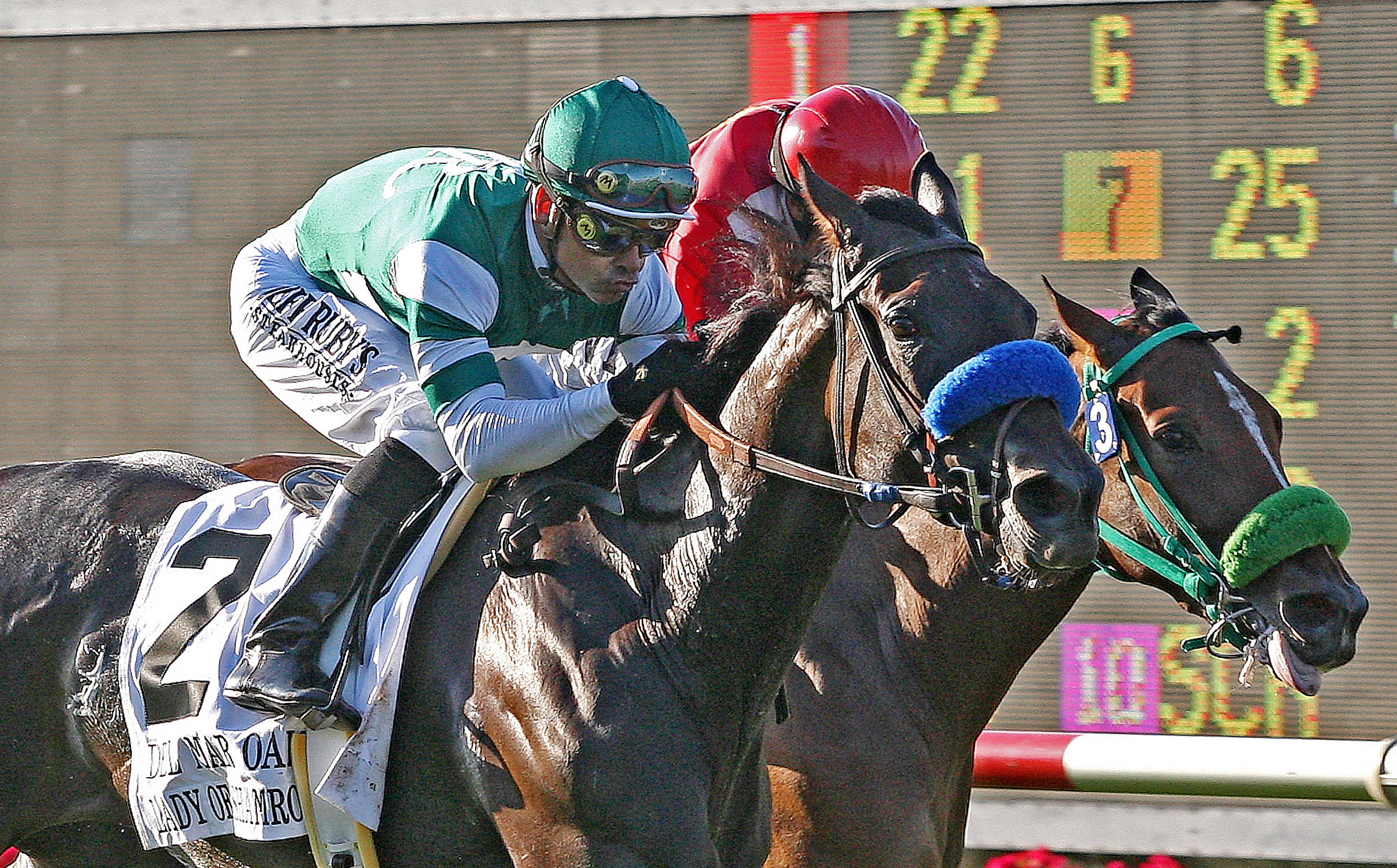 Lady of Shamrock