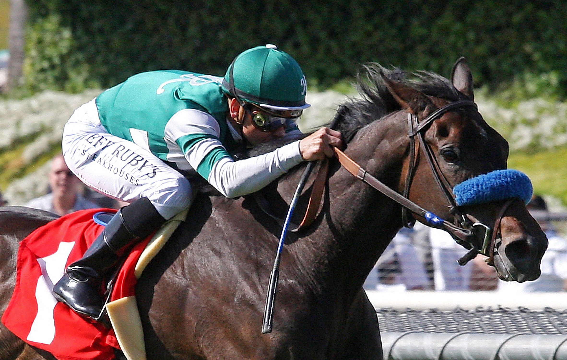 Lady of Shamrock