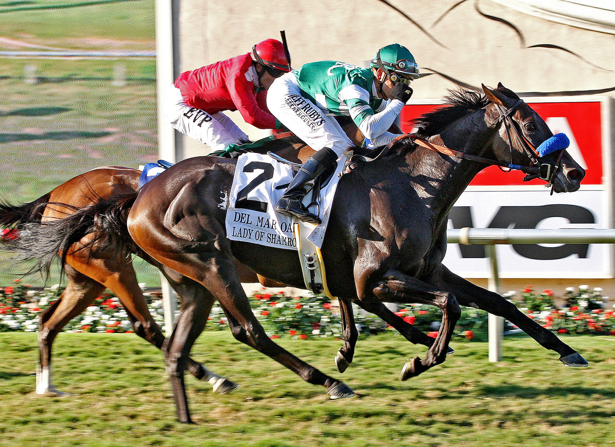 Lady of Shamrock, Del Mar Oaks