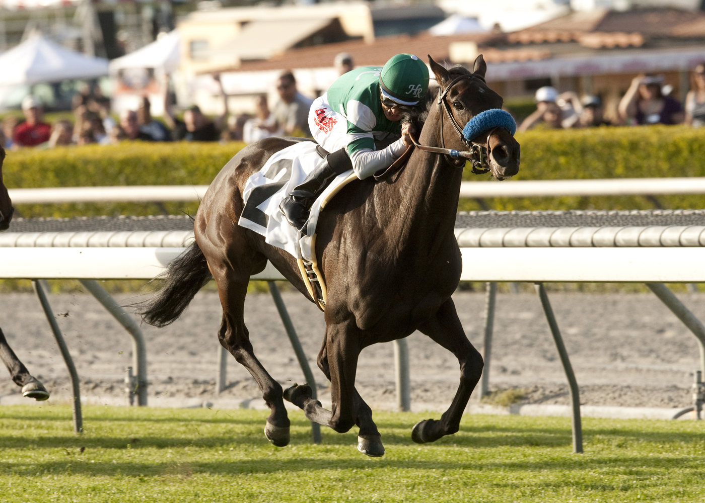 Lady of Shamrock/China Doll
