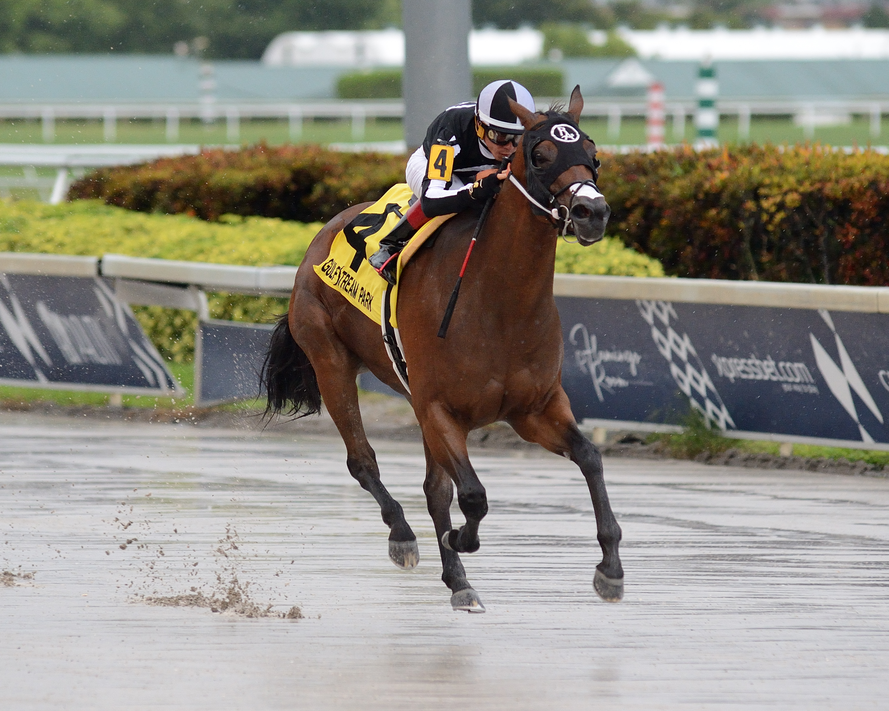 Lady's Island wins the Nicole's Dream at Gulfstream Park on June 9, 2019.