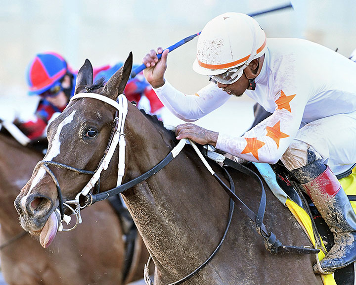 Lady Apple wins the 2020 Houston Ladies Classic Stakes at Sam Houston Race Park