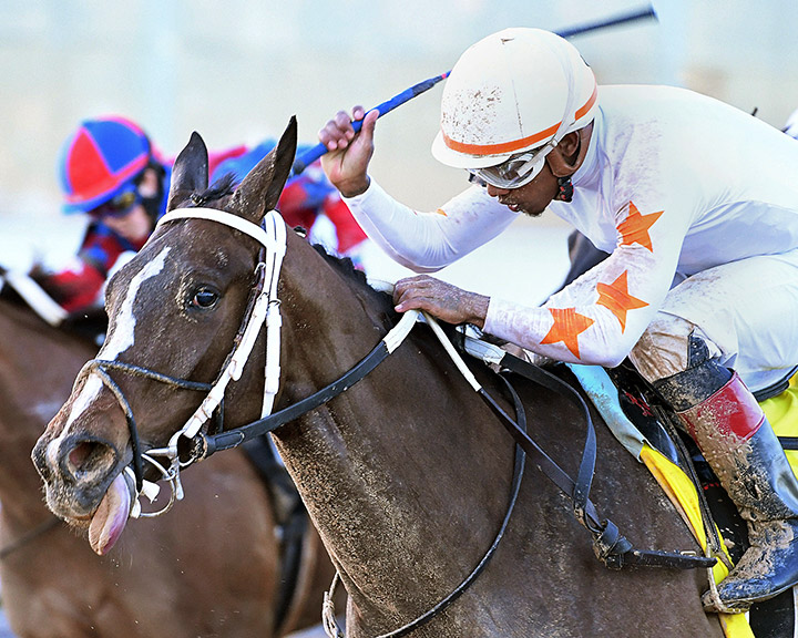 Lady Apple wins the 2020 Houston Ladies Classic Stakes at Sam Houston Race Park