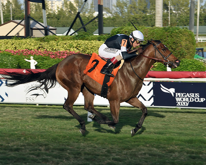 Lady Grace wins a Feb. 12 allowance at Gulfstream Park