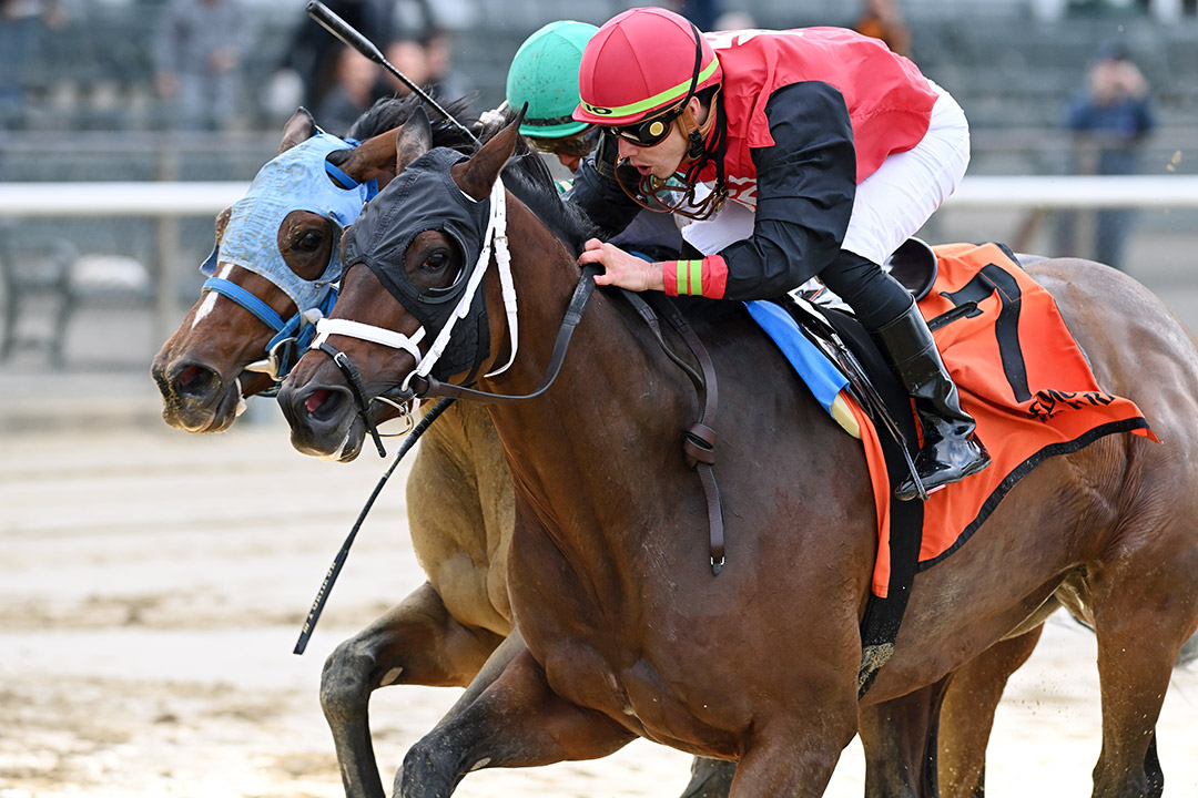 Lady Rocket (right) wins a division of the 2021 Pumpkin Pie Stakes at Belmont Park