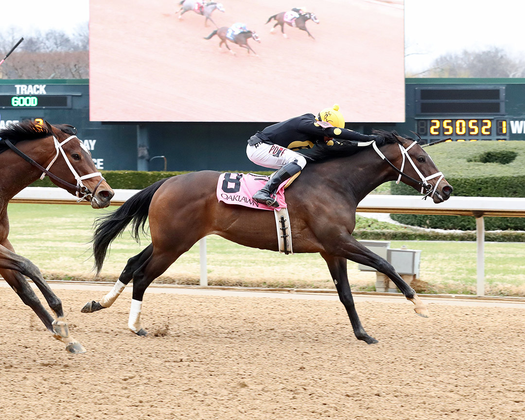 Lady Scarlet wins a Feb. 26 allowance at Oaklawn Park