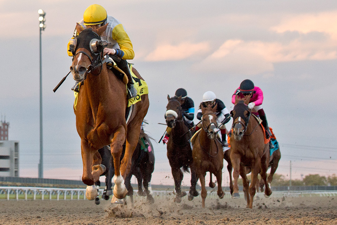 Lady Speightspeare wins the 2021 Bessarabian Stakes at Woodbine