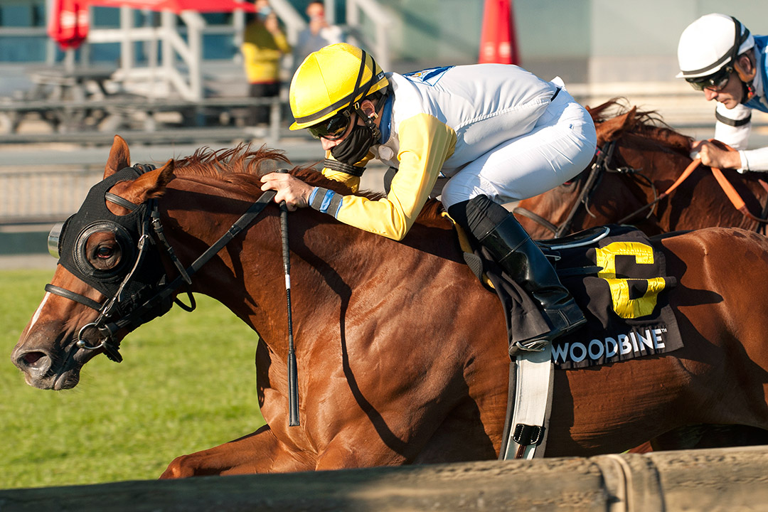 Lady Speightseare wins the 2020 Natalma Stakes at Woodbine