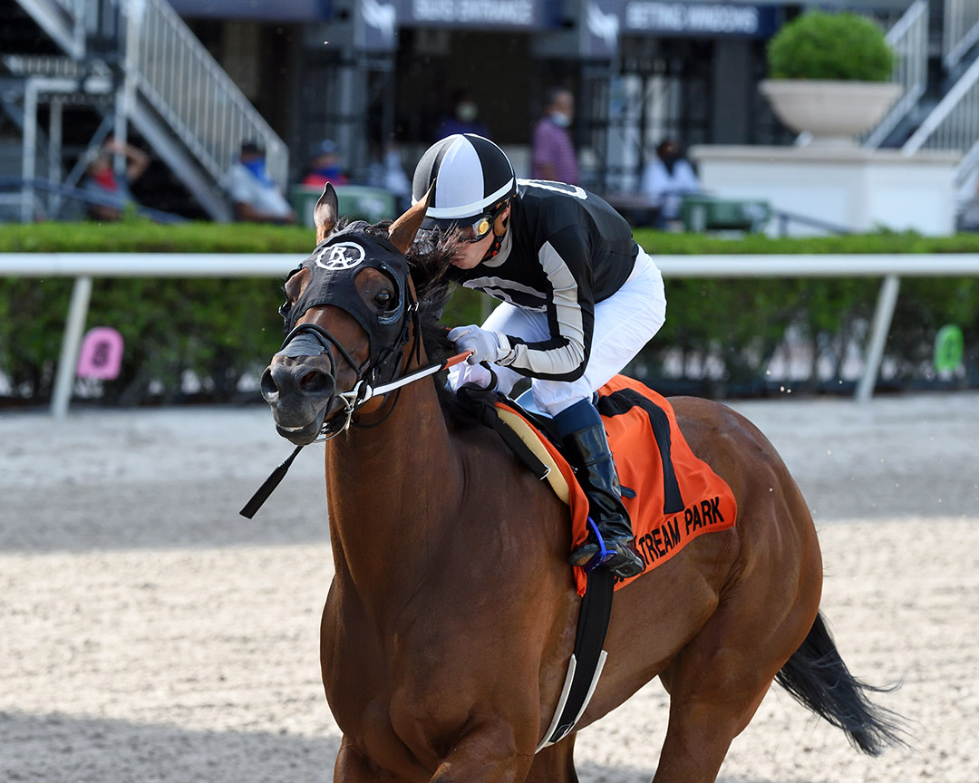 Lady's Island wins the 2020 Musical Romance Stakes at Gulfstream Park