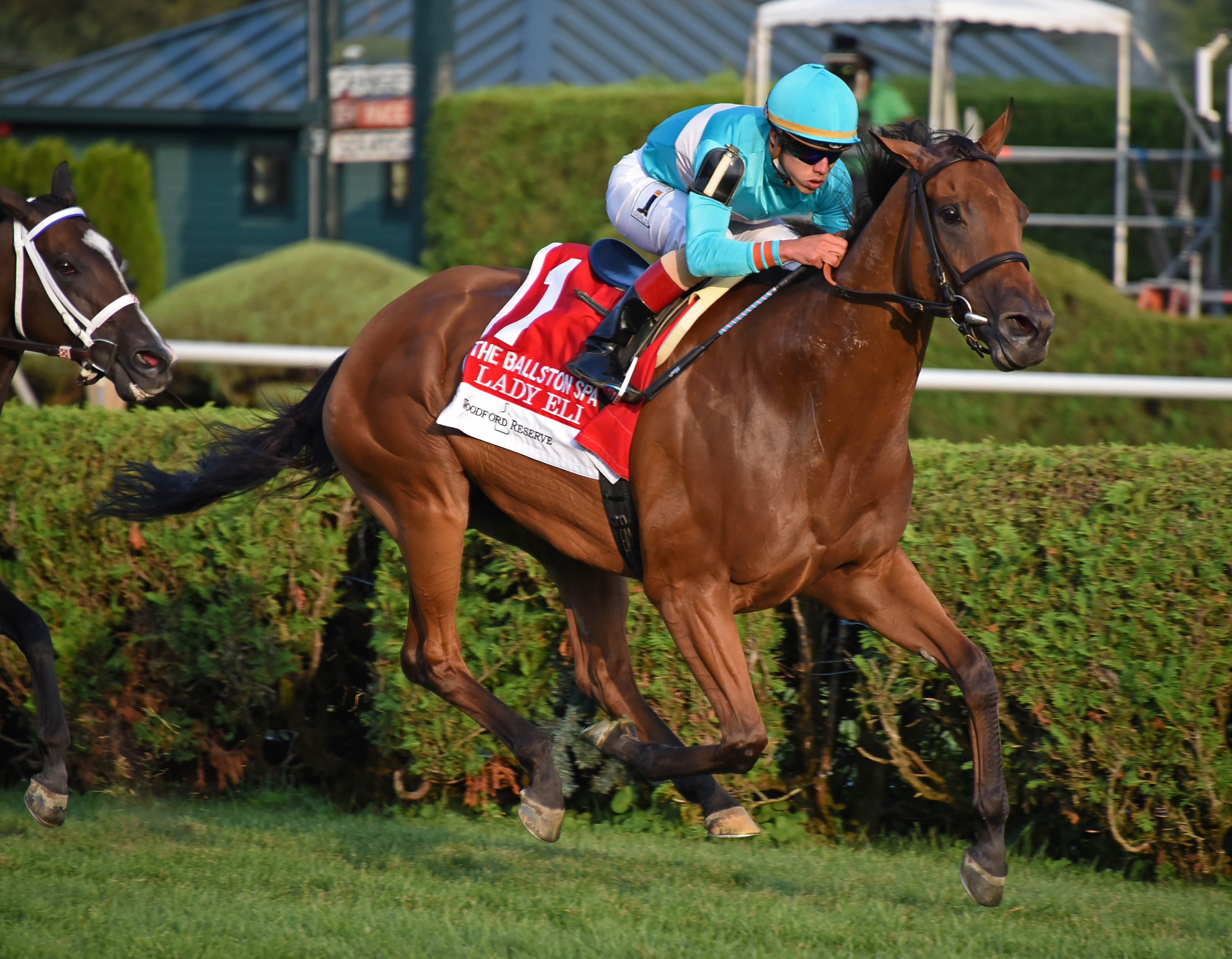 Lady Eli wins the Ballston Spa at Saratoga 8.26.17_RB