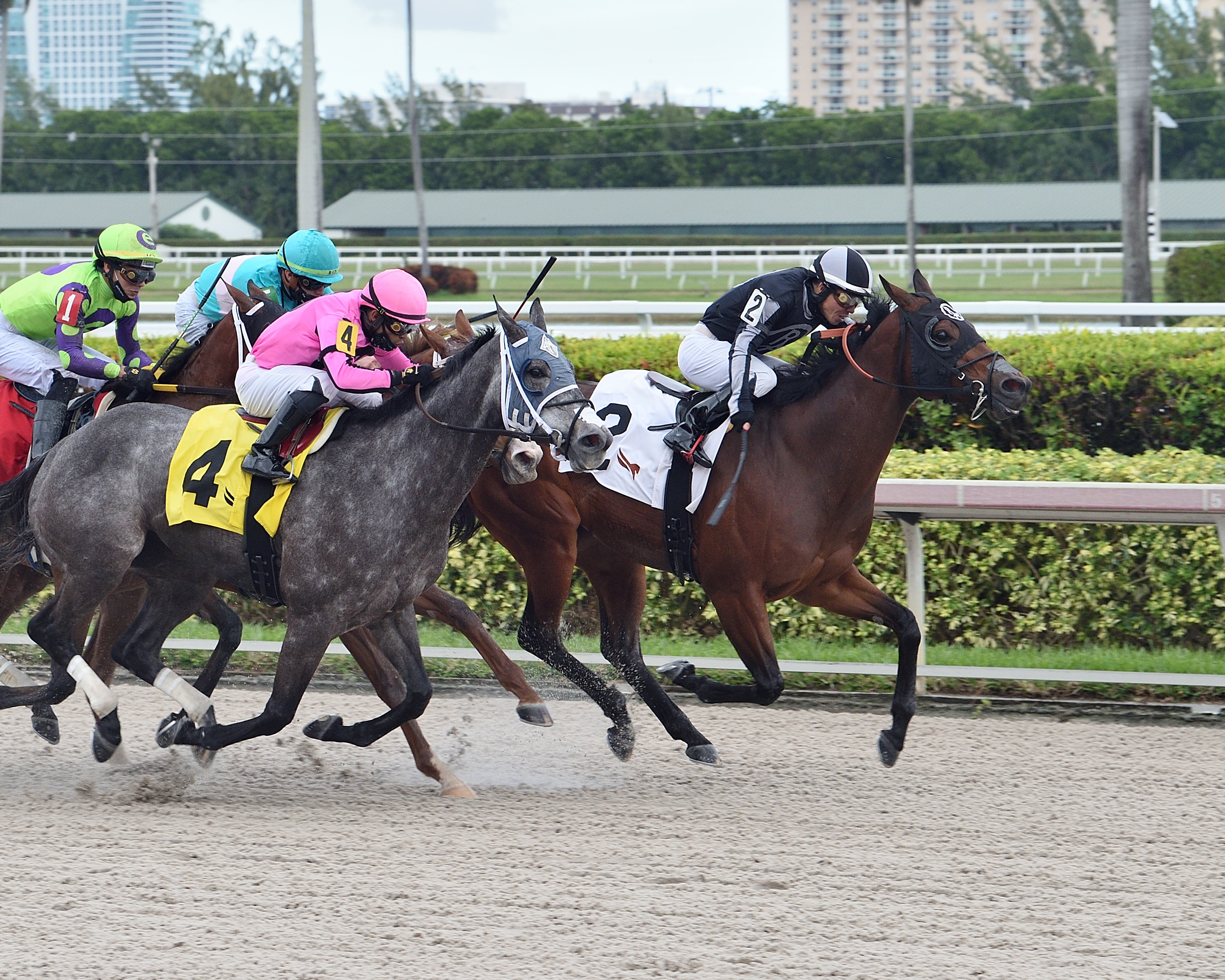 Lady's Island wins Sugar Swirl 12-12-2020