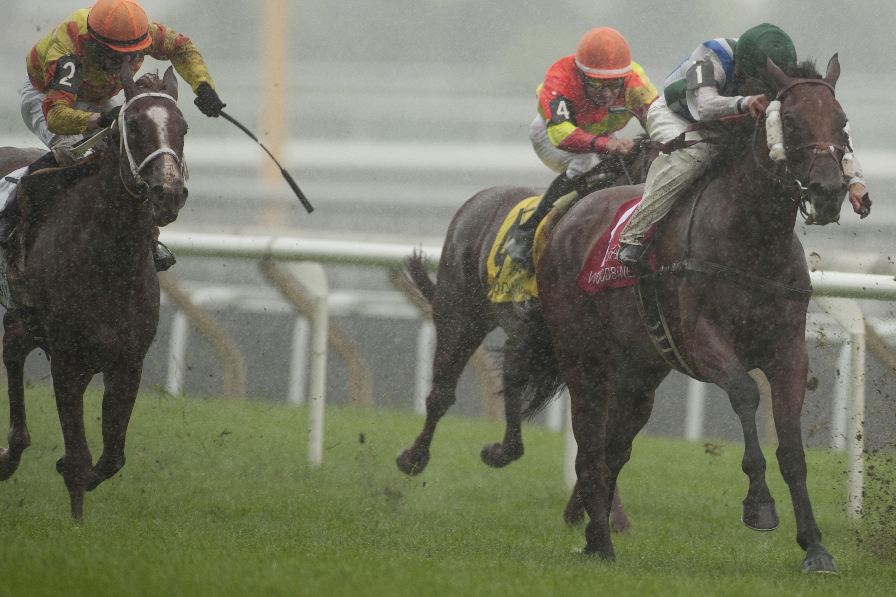 Lafontaine wins the Toronto Cup