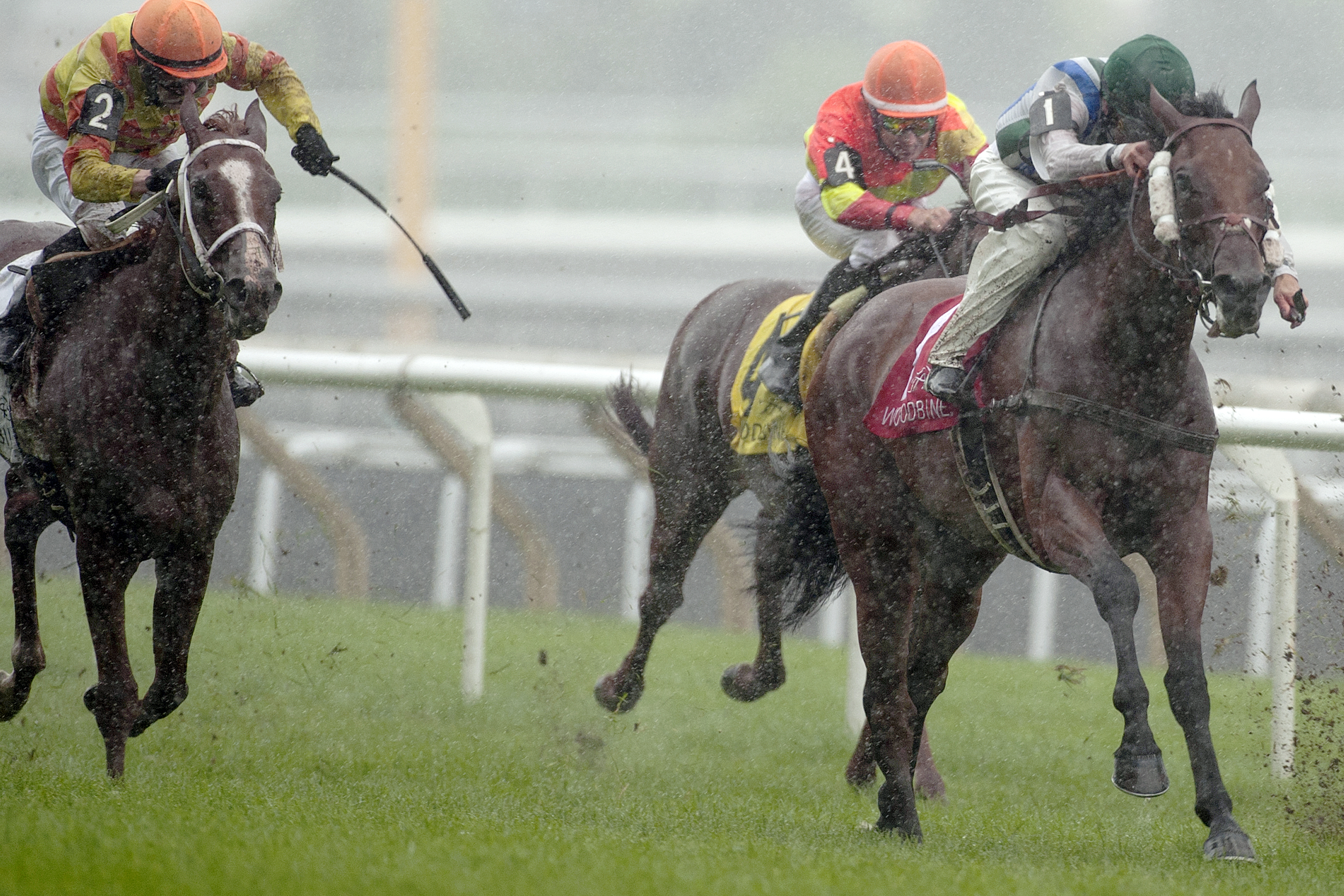 Lafontaine wins the Toronto Cup