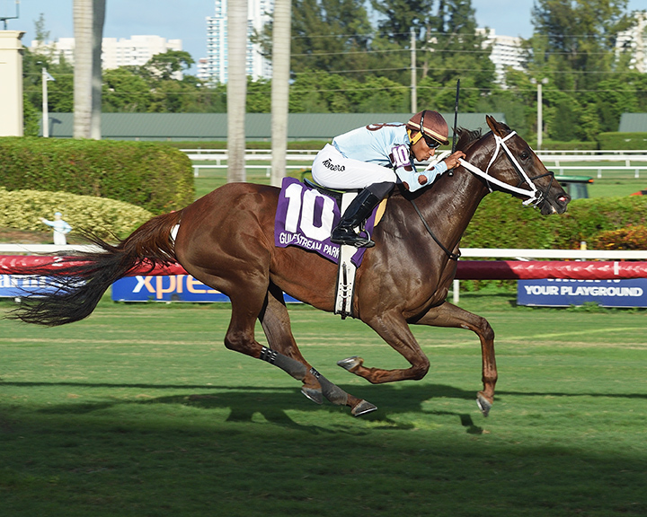 Lafta wins the 2018 Monroe Stakes