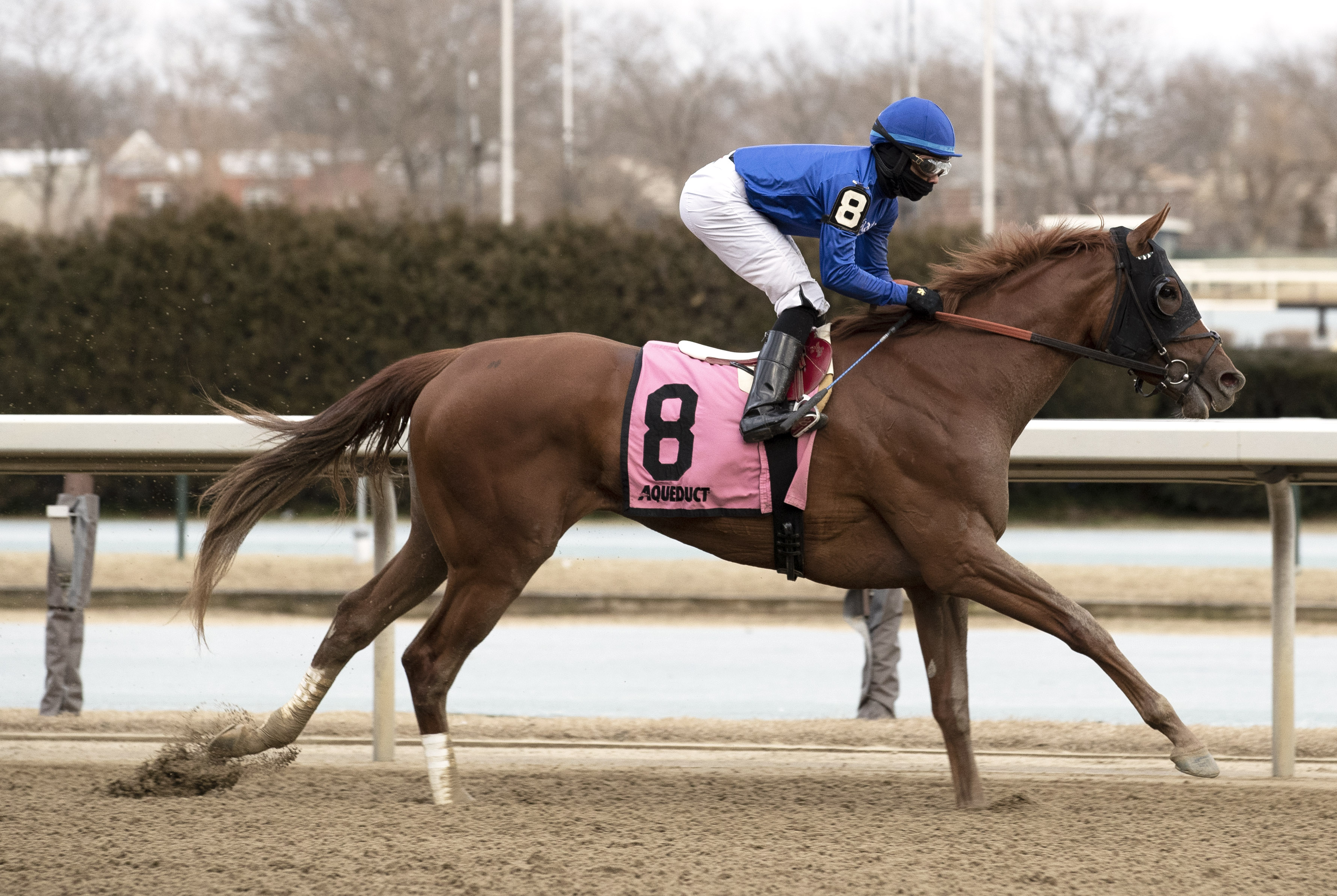 Lake Avenue wins the Heavenly Prize.3-6-2021
