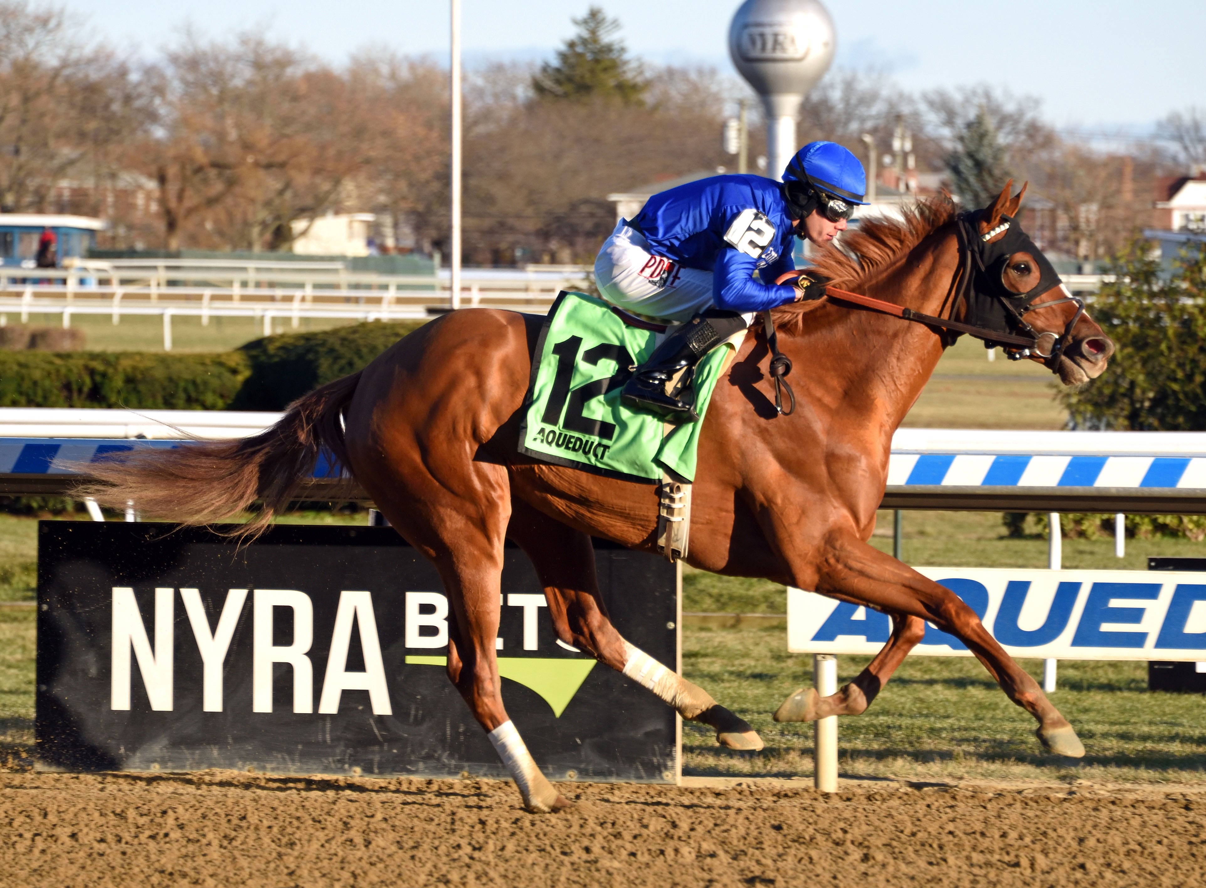 Lake Avenue wins the 2019 Demoiselle Stakes