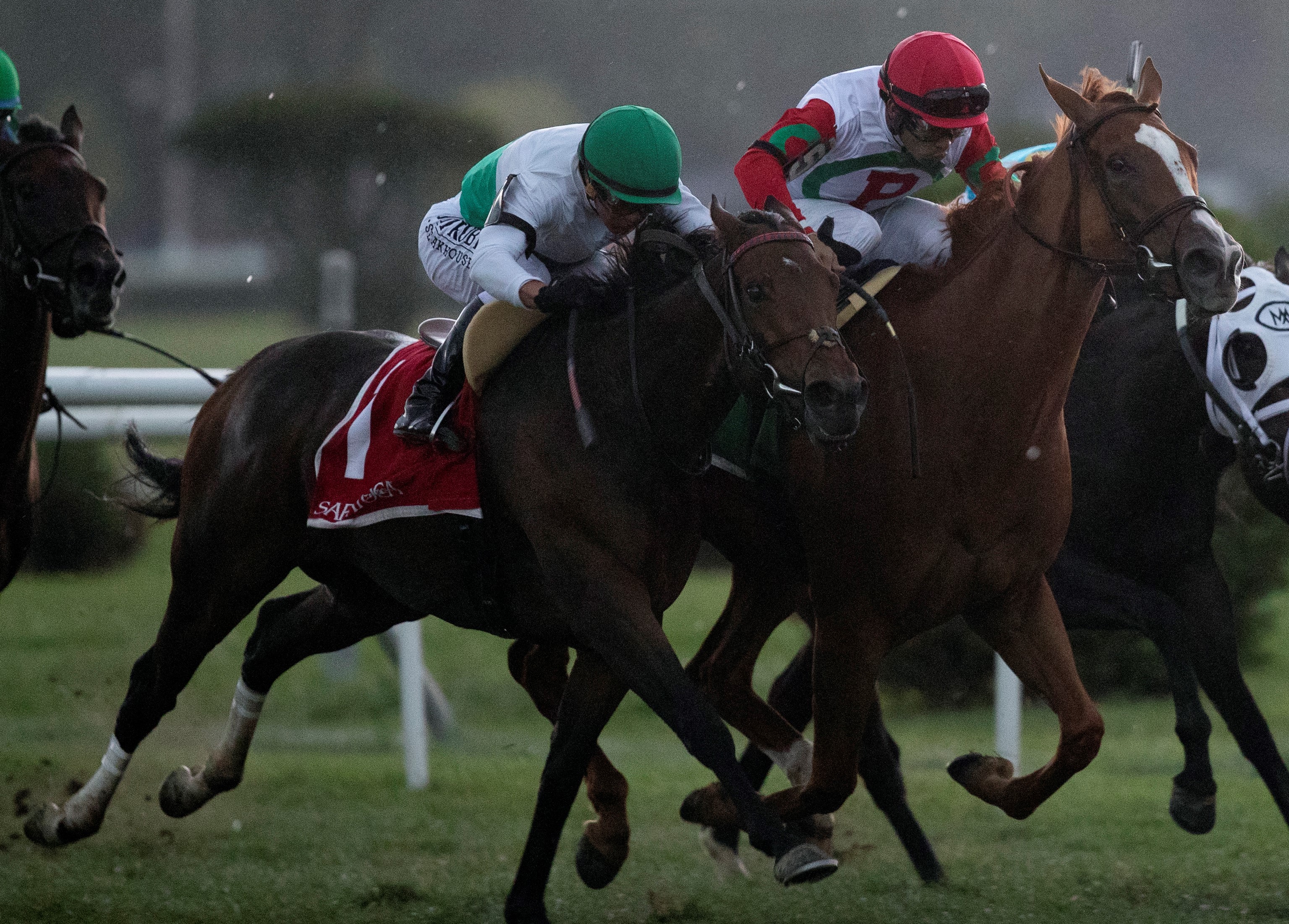 Varenka (left) and Regal Glory (right) dead heat in the 2019 Lake Placid Stakes