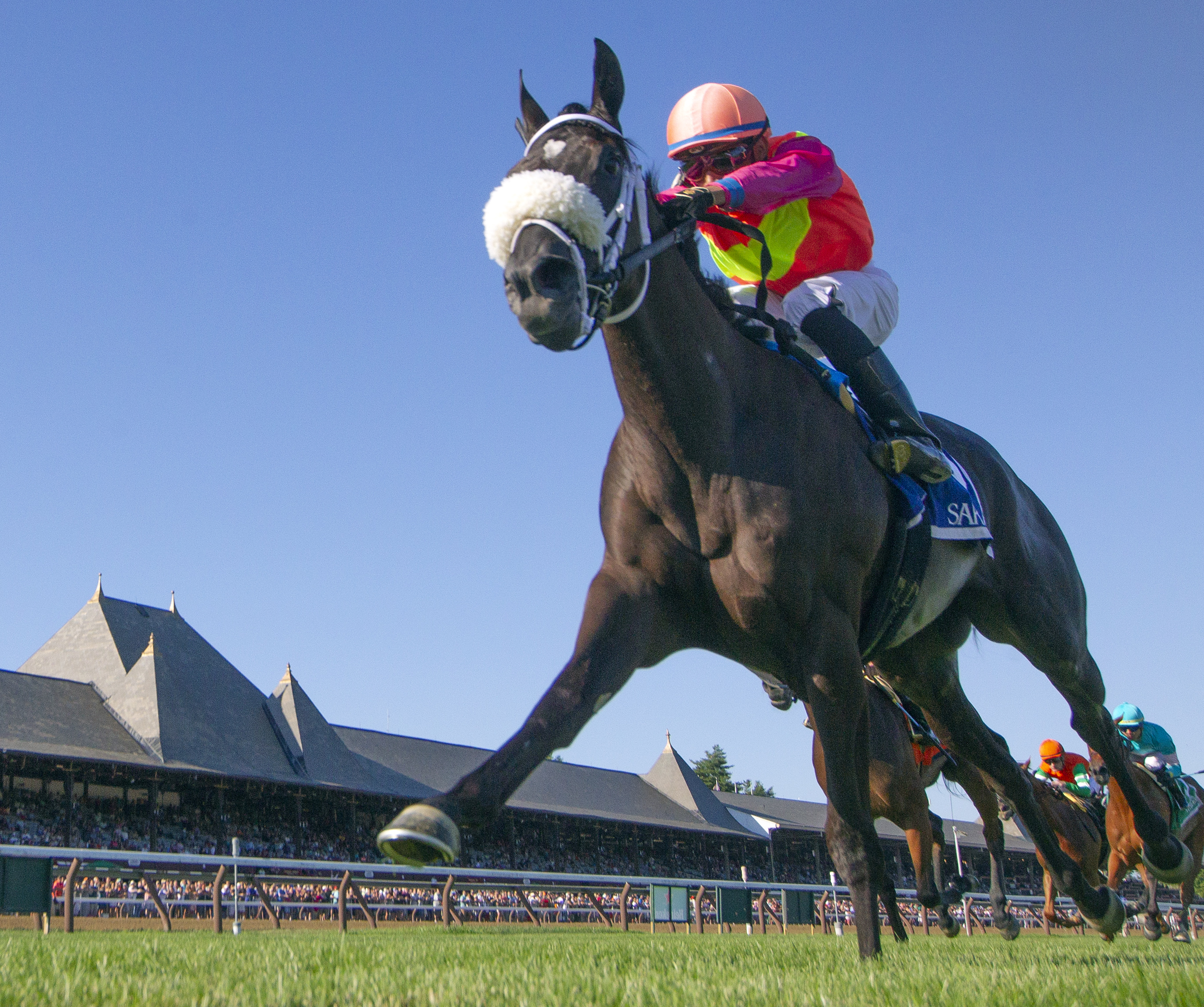 Daddy Is a Legend wins 2018 Lake George (Barb)