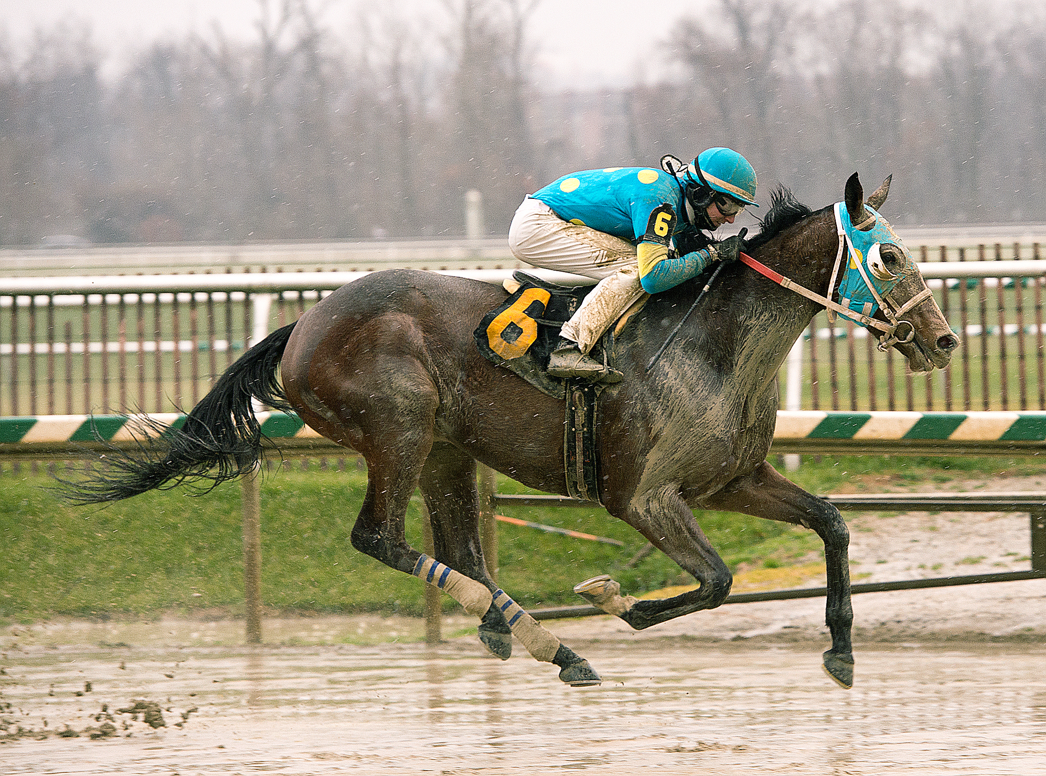 Lake Sebago wins the Gin Talking