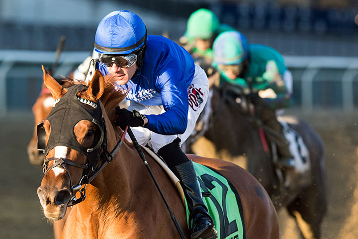 Lake Avenue wins the 2019 Demoiselle Stakes at Aqueduct Racetrack