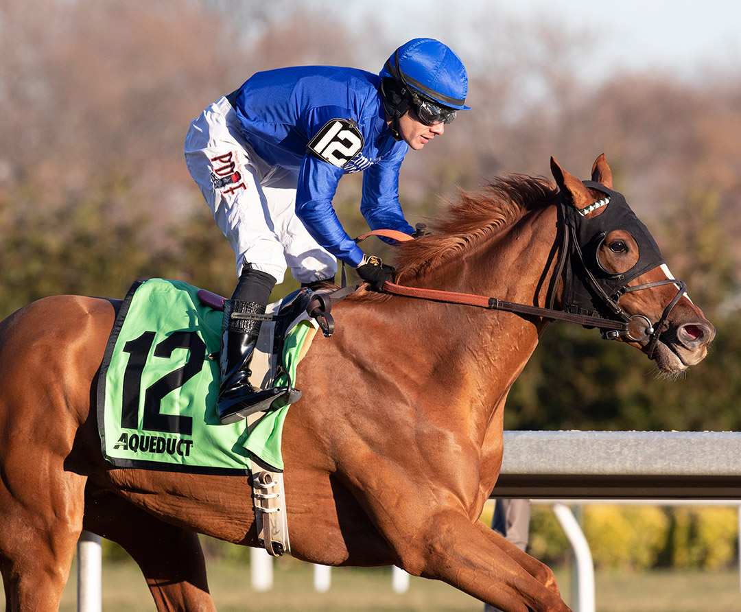 Lake Avenue wins the 2019 Demoiselle Stakes at Aqueduct