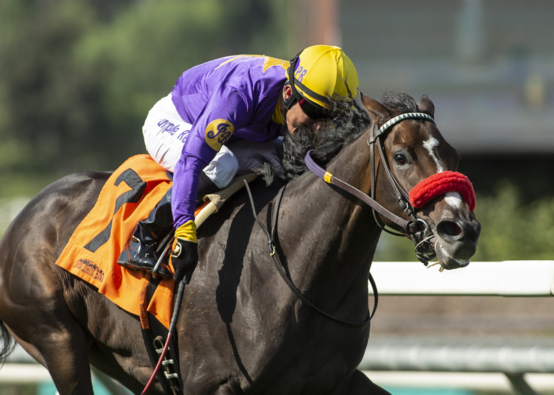 Lakerball wins the 2018 Surfer Girl Stakes