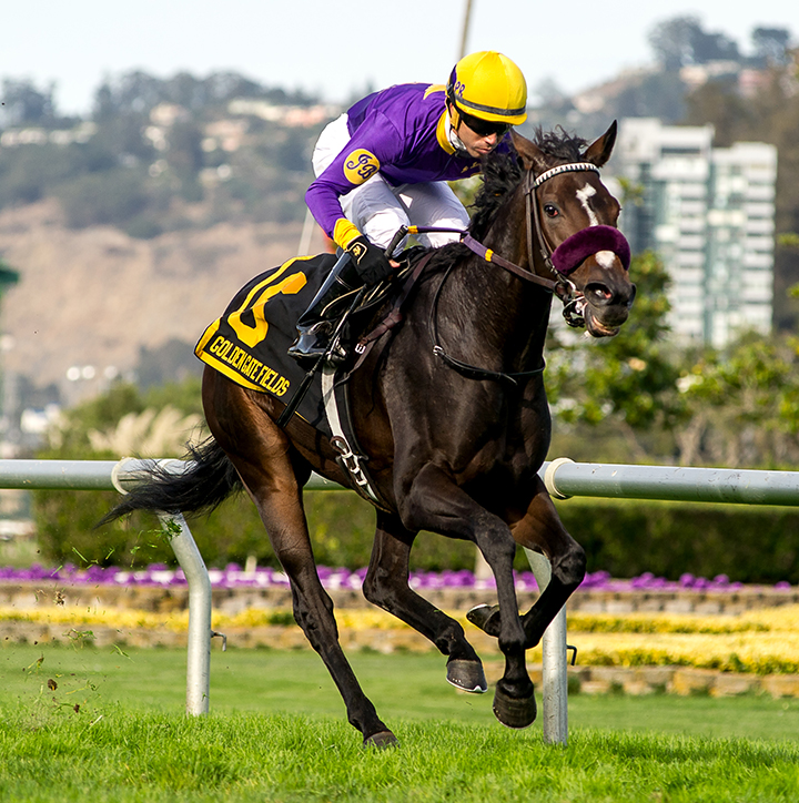 Lakerball wins the 2018 Pike Place Dancer Stakes