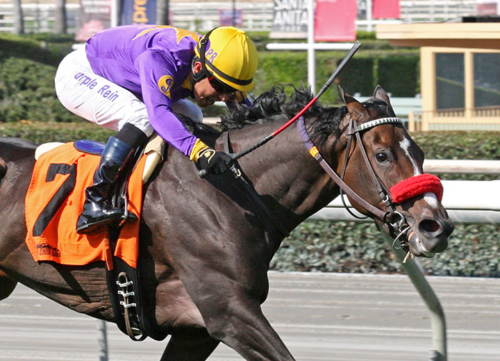 Lakerball wins the 2018 Surfer Girl Stakes