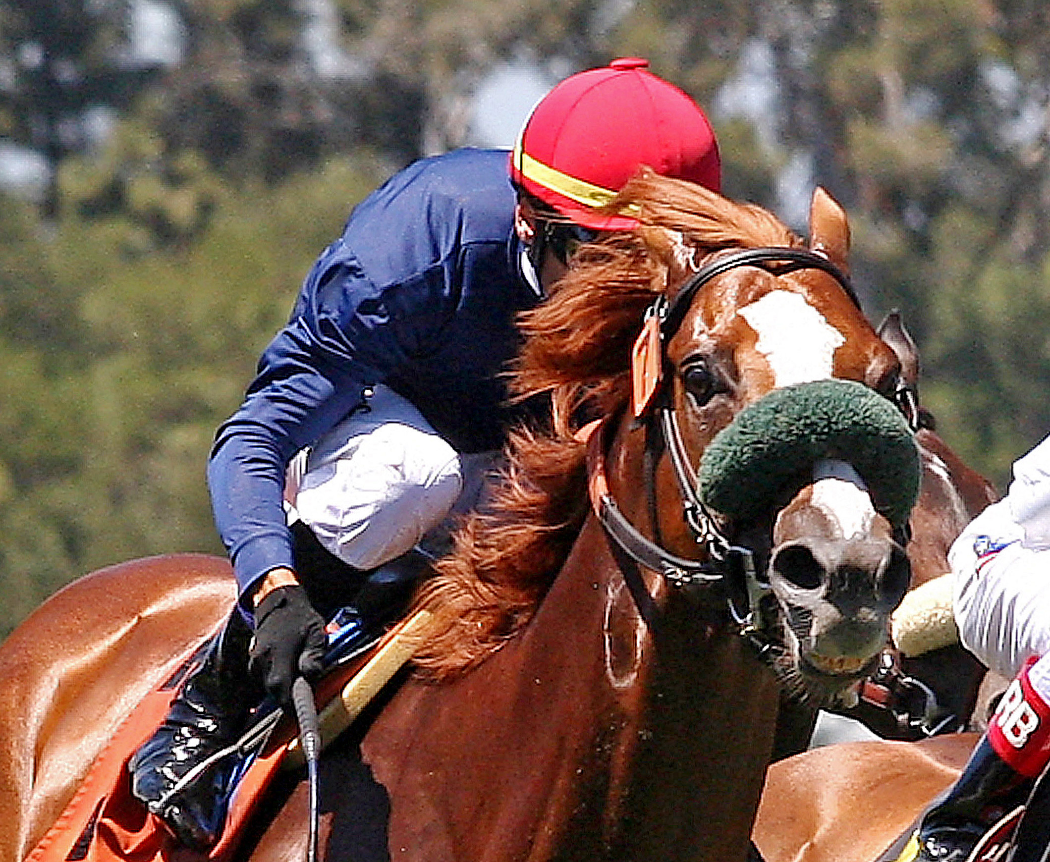 Lakerville/allowance race