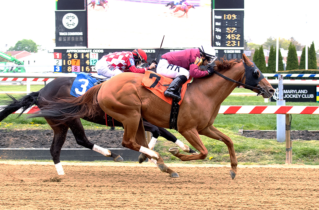 Laki wins the 2021 Frank Y. Whiteley Stakes at Pimlico Race Course