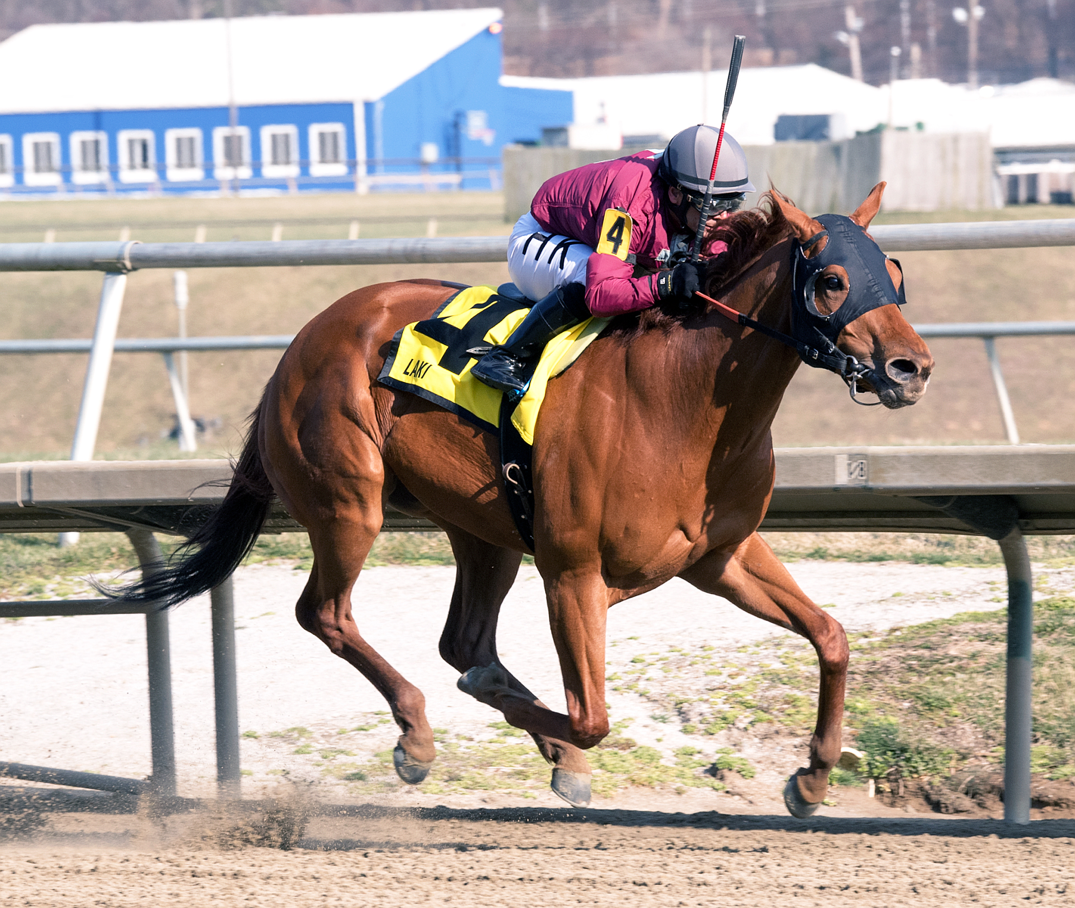 Laki wins the Not For Love Stakes