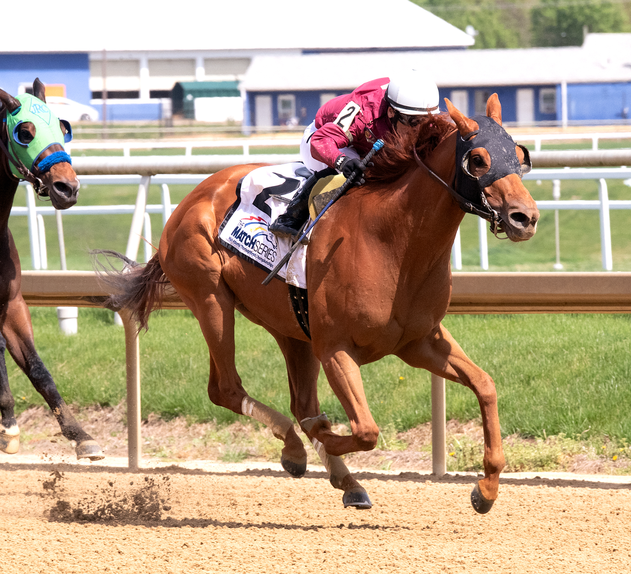 Laki wins the 2019 Frank Whiteley Jr. Stakes