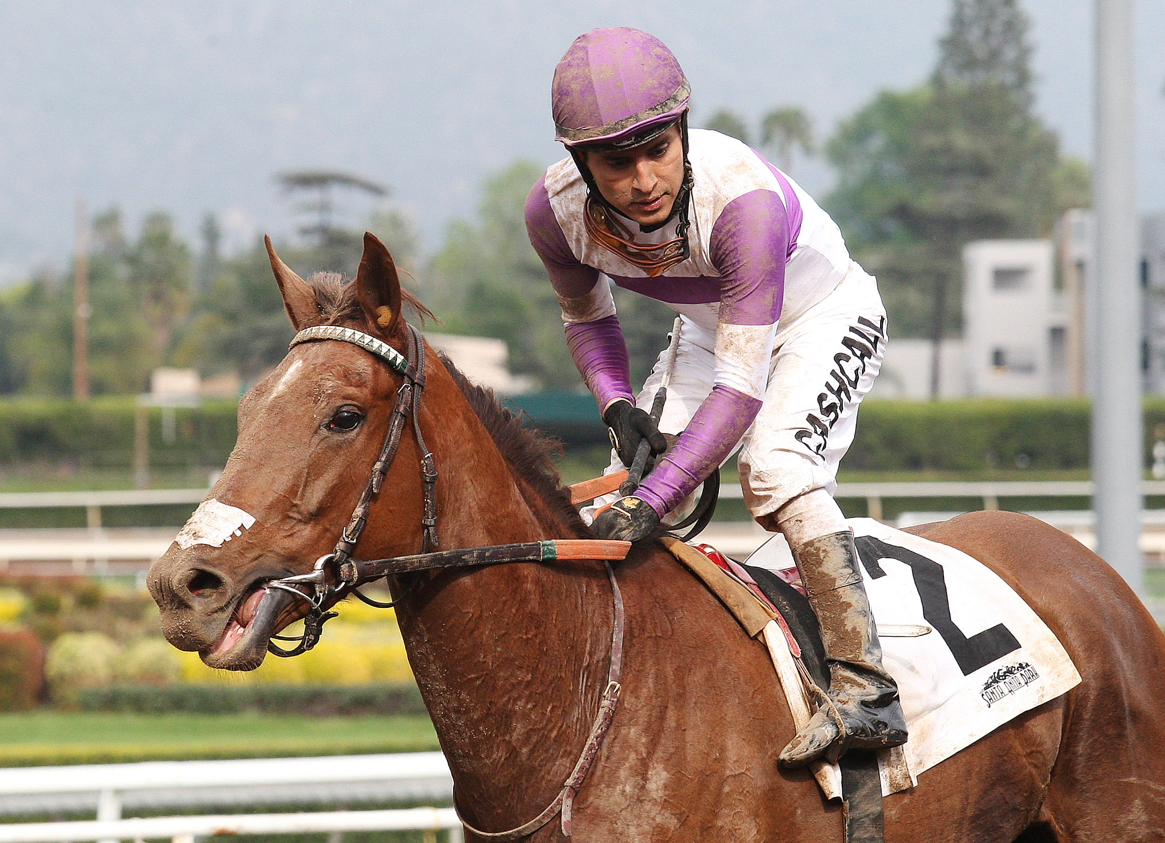 Land Over Sea finishes second in the Santa Ysabel Stakes