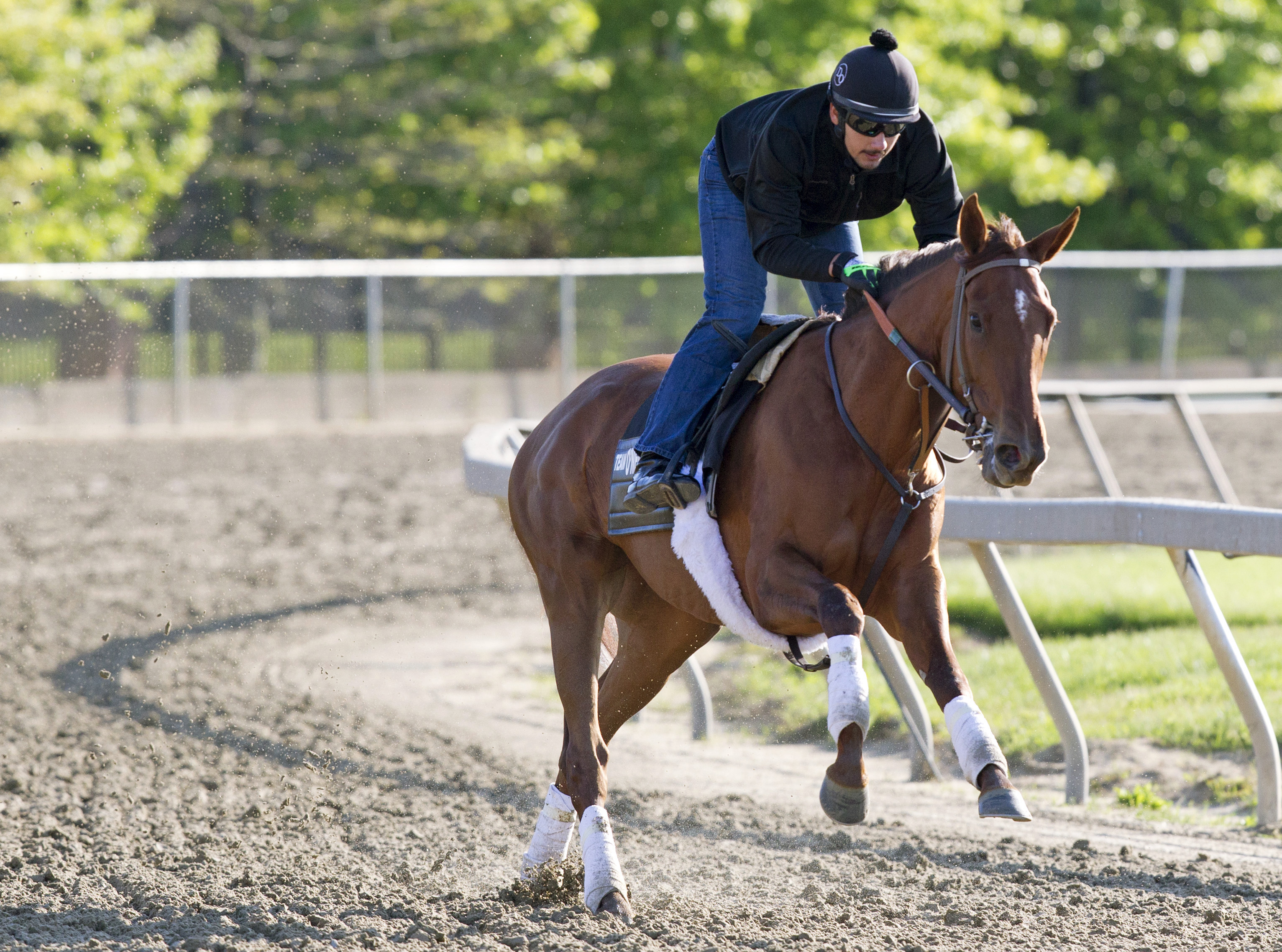 Land Over Sea training at Pimlico on May 15