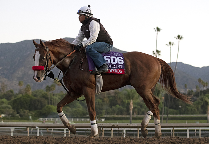 Landeskog at Santa Anita Park on Oct. 25