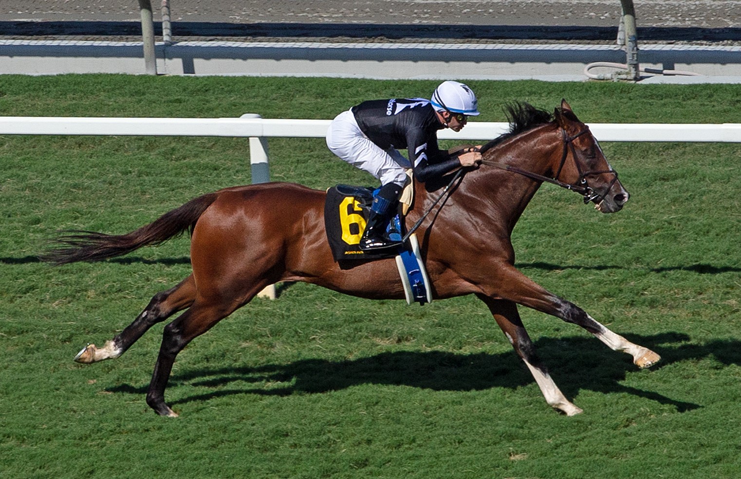 Lane Way wins at Santa Anita Oct 3 2021