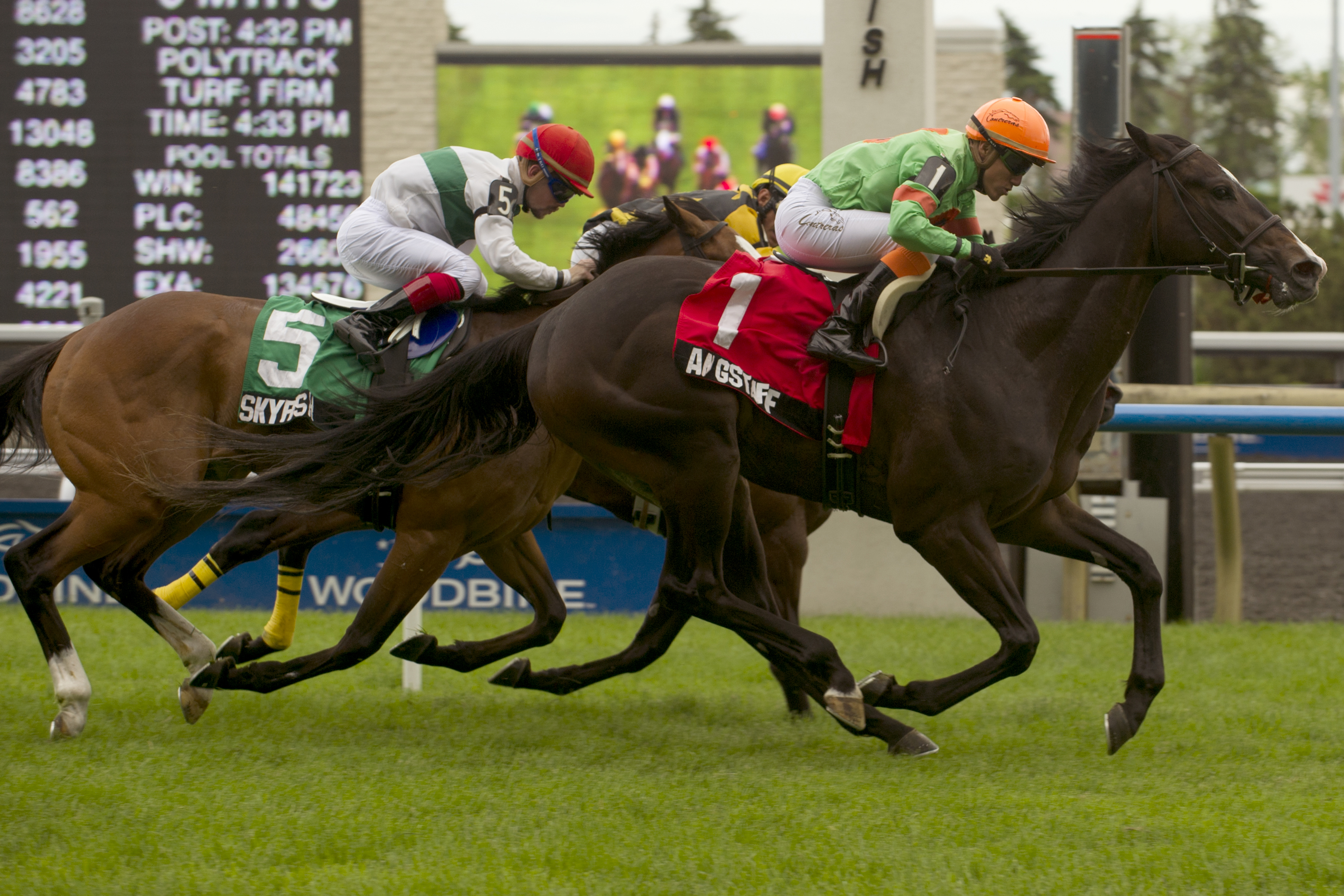 Langstaff, Bold Ruckus Stakes