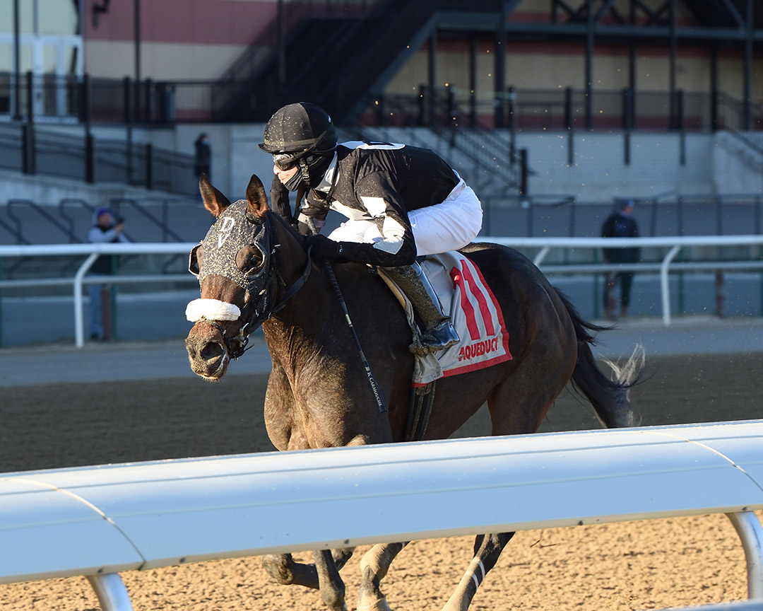Laobanonaprayer wins the 2020 New York Stallion Series Fifth Avenue at Aqueduct
