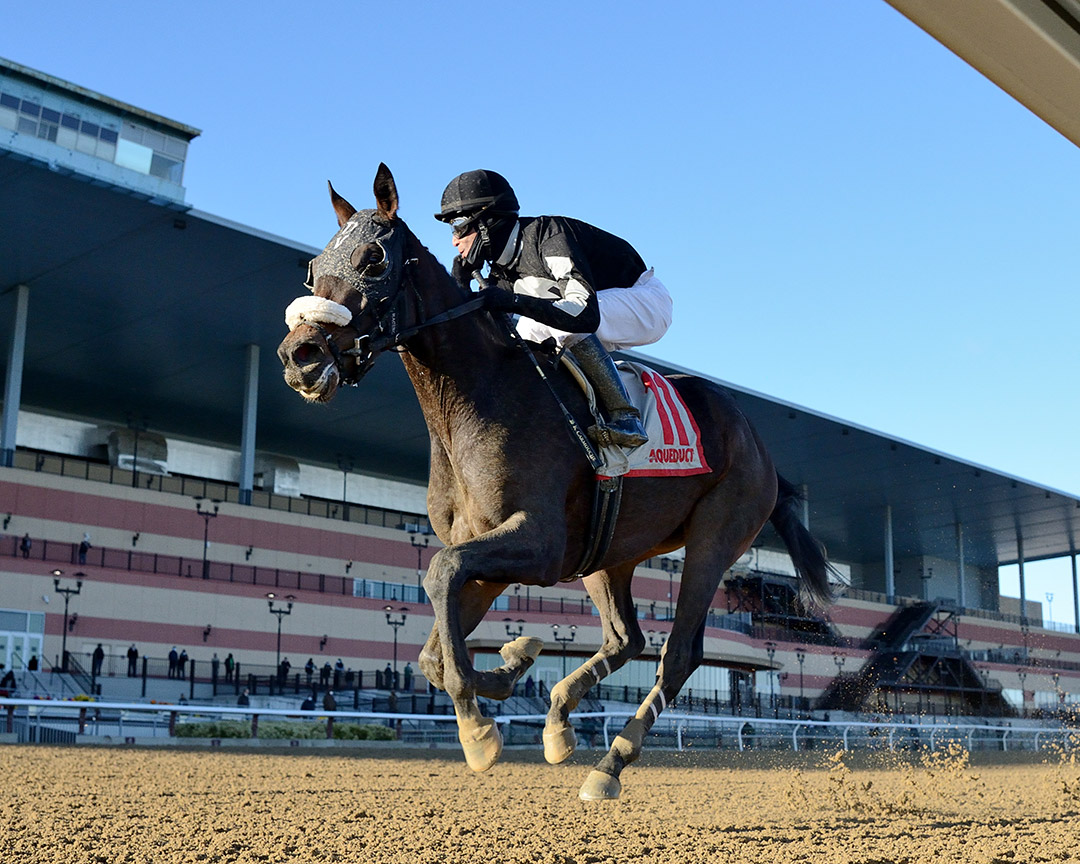 Laobanonaprayer wins the 2020 Fifth Avenue at Aqueduct