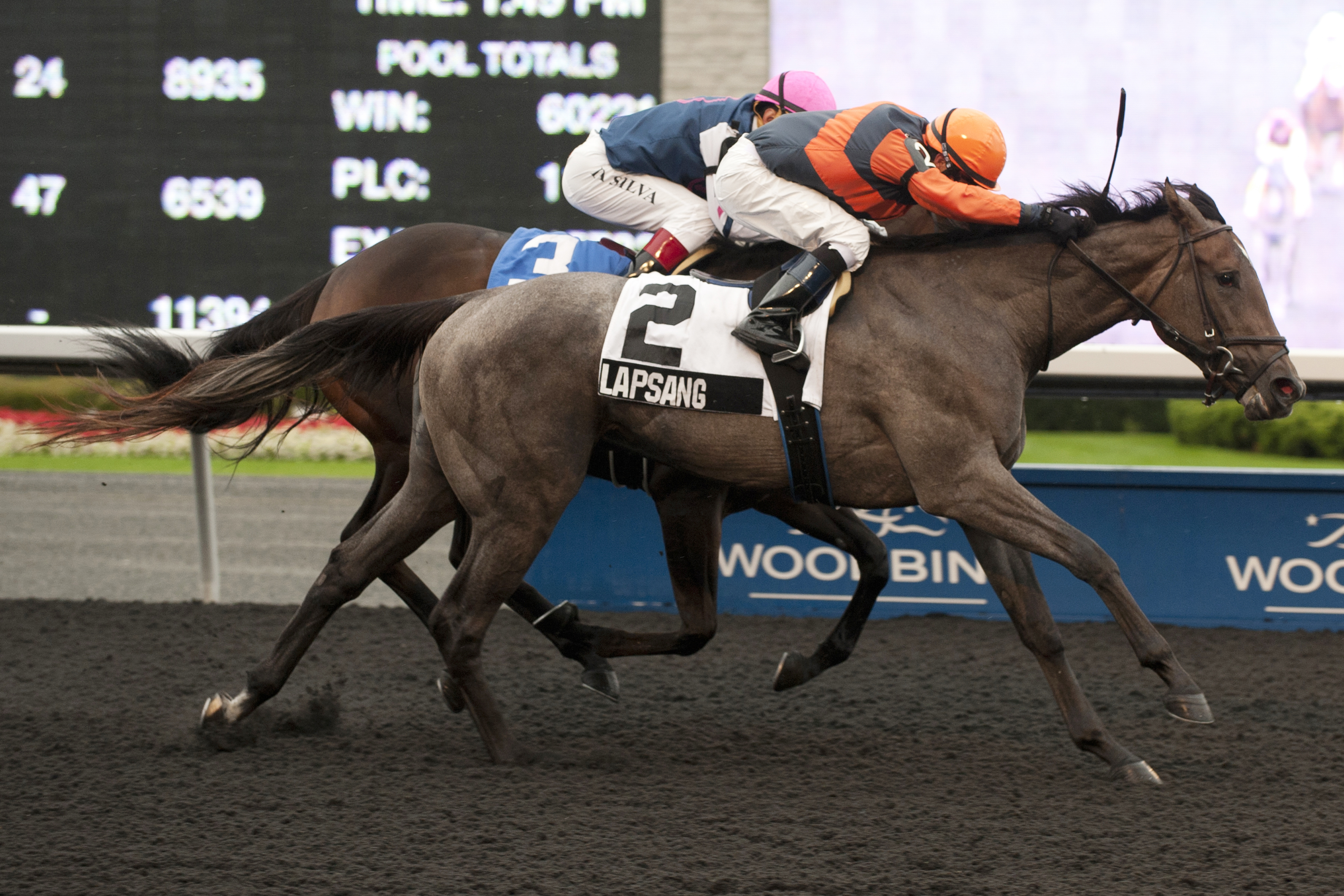 Lapsang, Deputy Jane West Stakes
