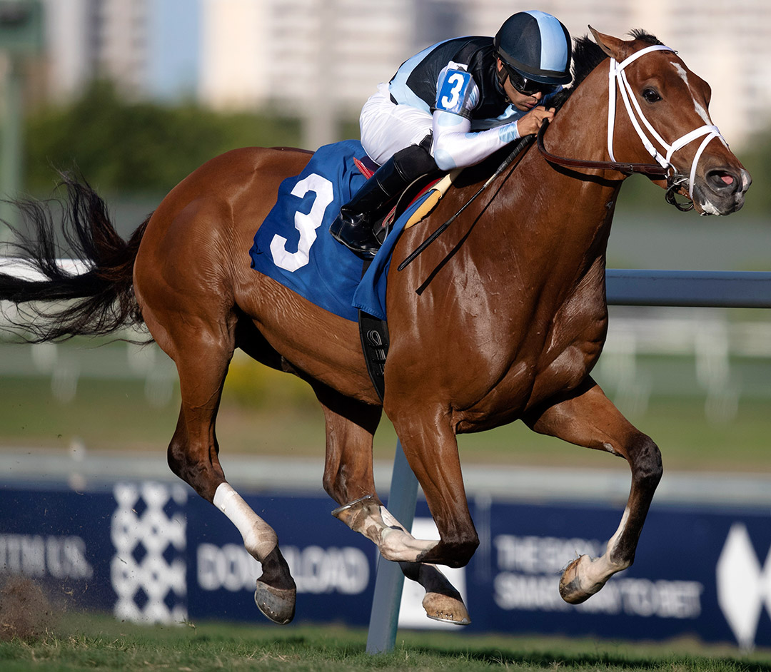 Largent wins a Jan. 19 allowance race at Gulfstream Park