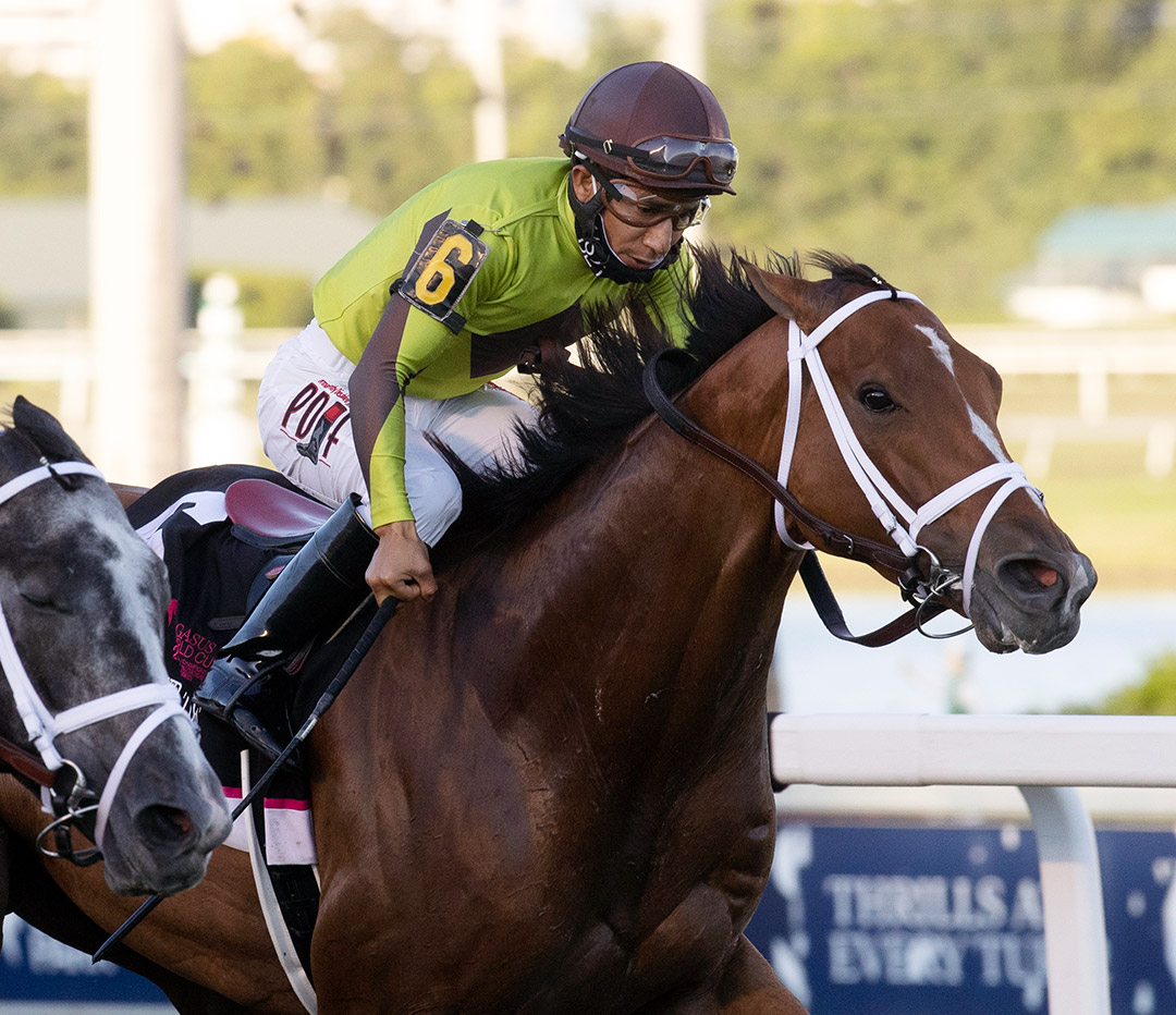 Largent finishes second in the 2021 Pegasus World Cup Turf at Gulfstream