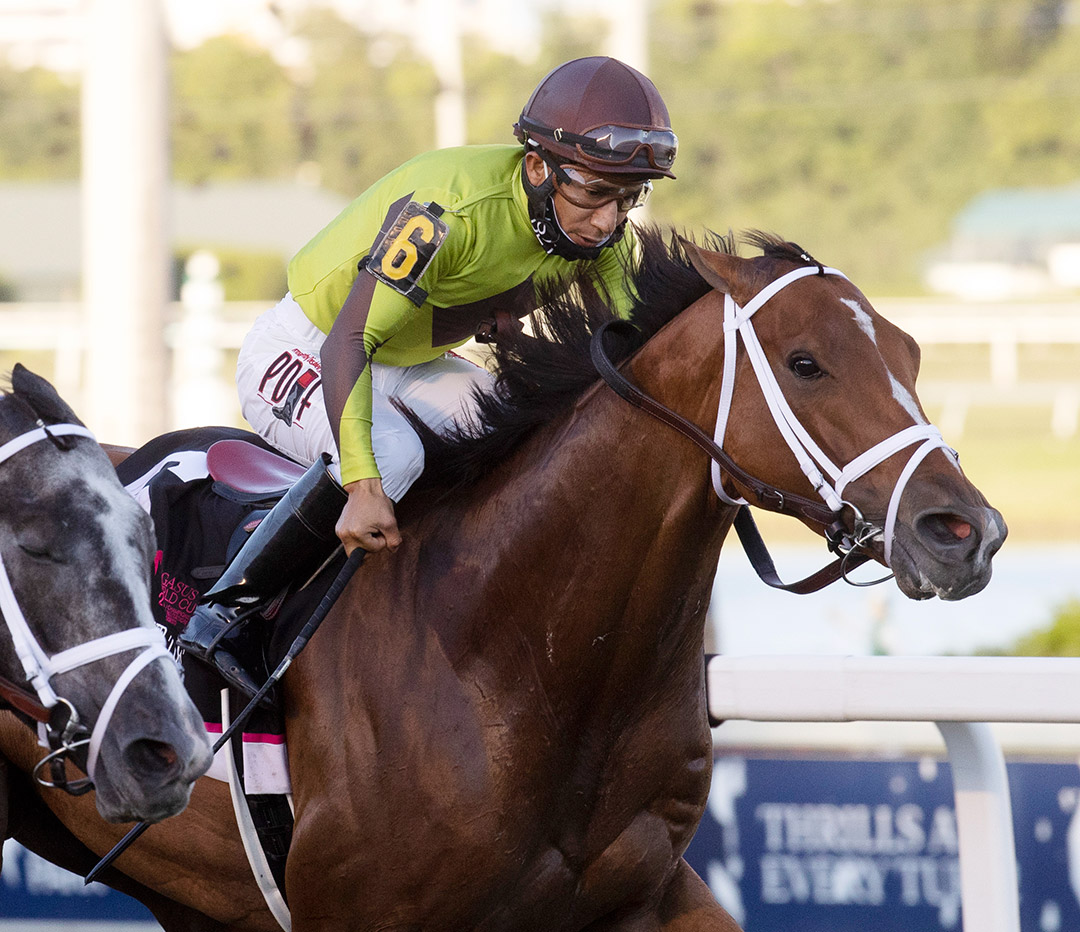 Largent finishes second in the Pegasus World Cup Turf at Gulfstream Park