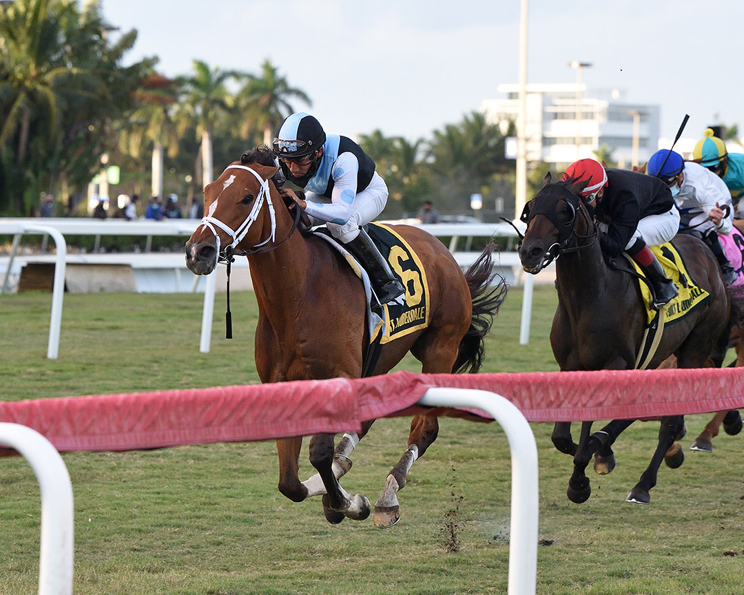 Largent wins the 2020 Fort Lauderdale Stakes at Gulfstream