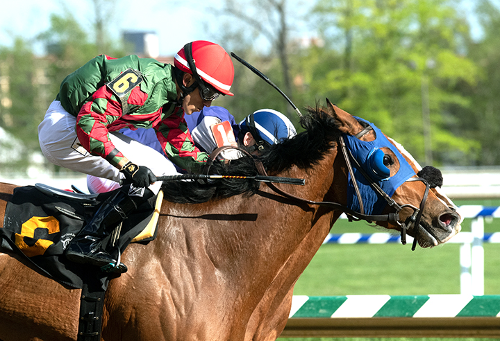 Las Setas wins the Weber City Miss Stakes
