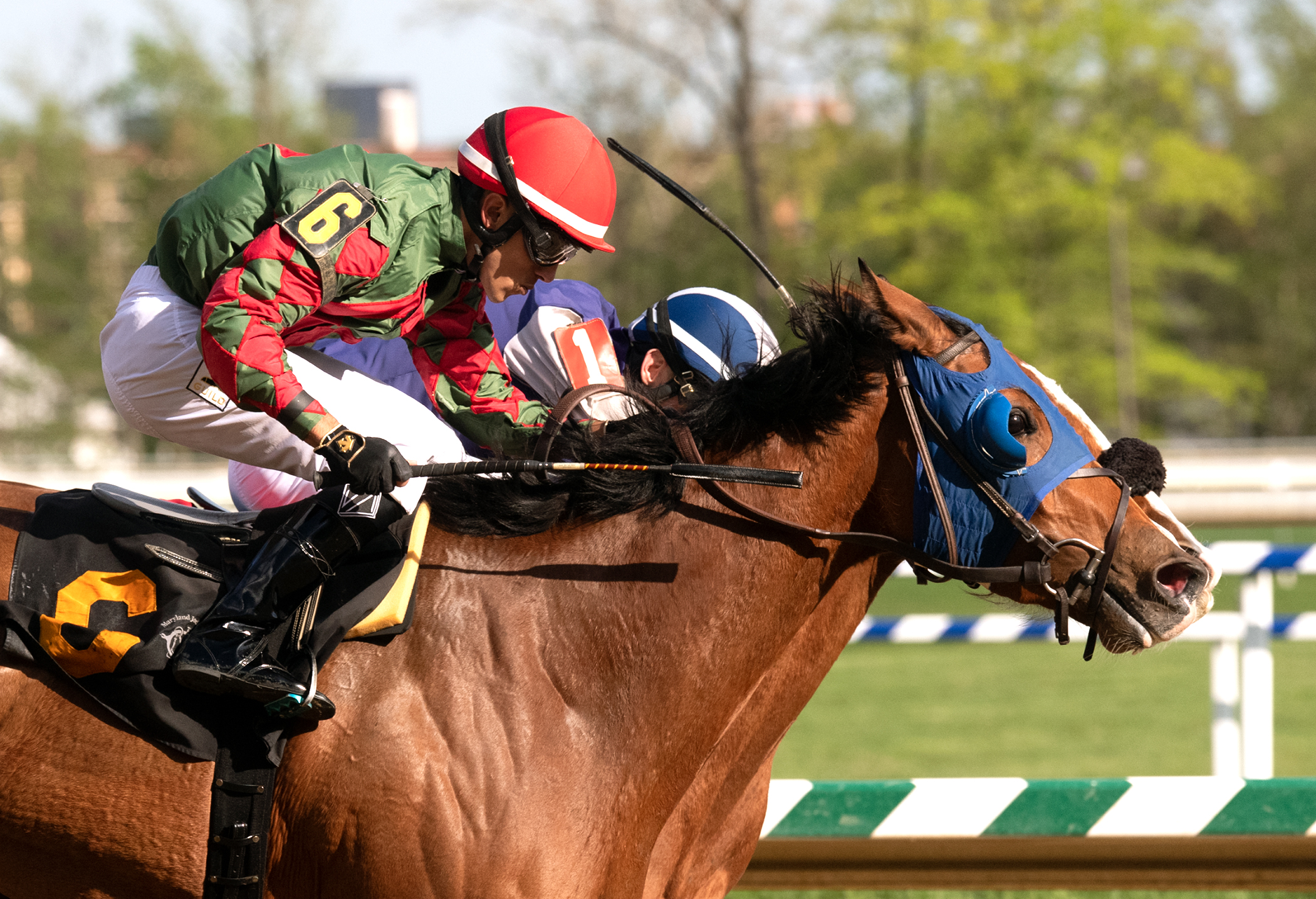 Las Setas (blue blinkers) wins the 2019 Weber City Miss Stakes