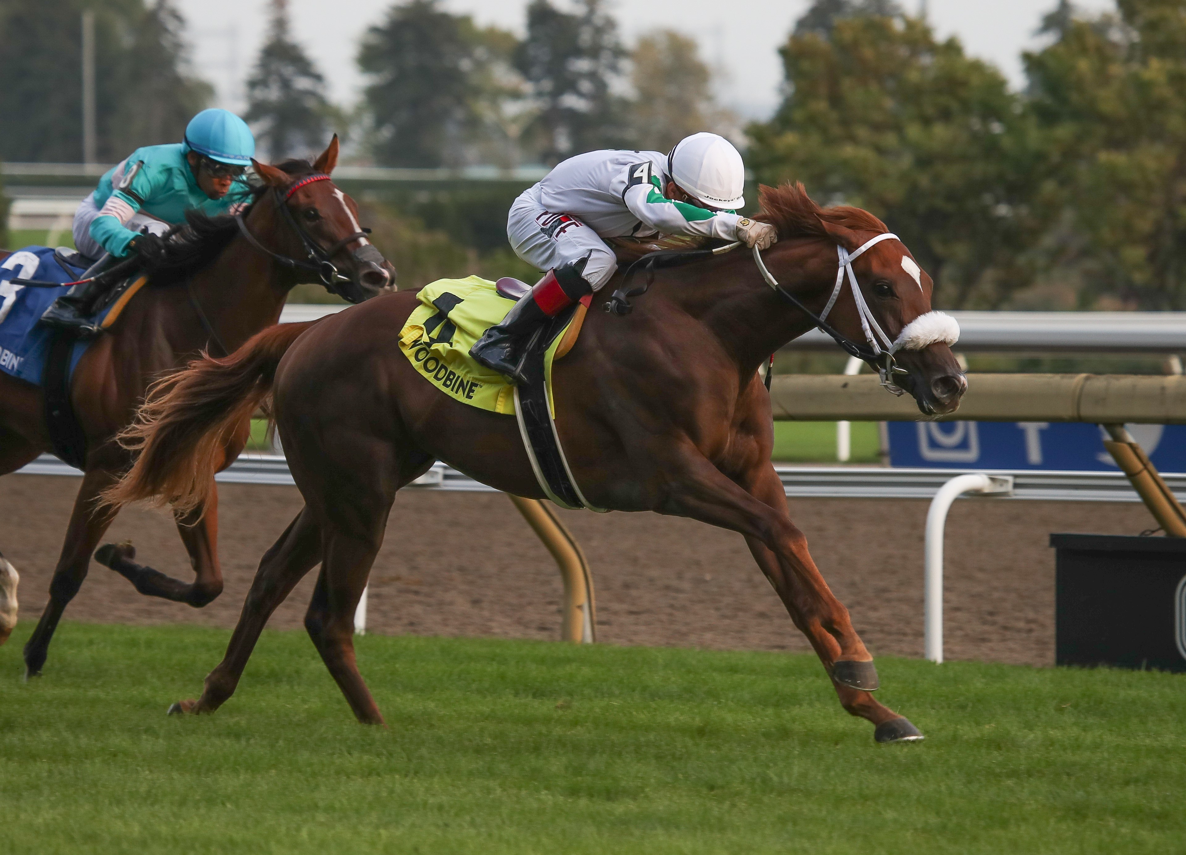 Last Call wins the Natalma at Woodbine Sept 17 2022